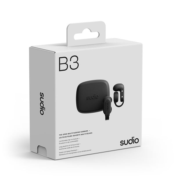 B3