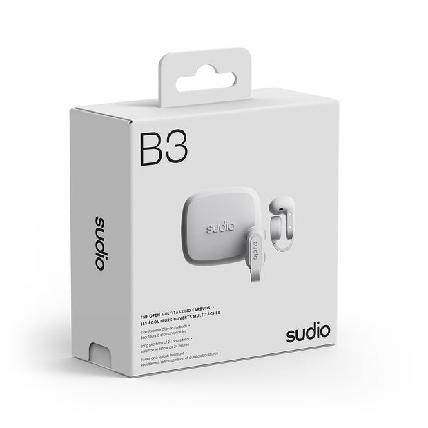 B3