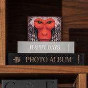 MACAQUE PUZZLE