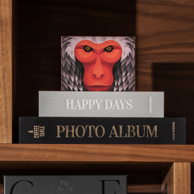 MACAQUE PUZZLE